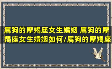 属狗的摩羯座女生婚姻 属狗的摩羯座女生婚姻如何/属狗的摩羯座女生婚姻 属狗的摩羯座女生婚姻如何-我的网站